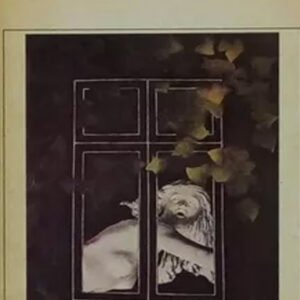 El lugar sin límites